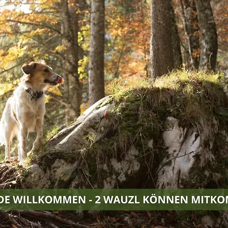 Fichtelsuite 1-6 Pers Nahe Ochsenkopf Sued 800m In Fleckl